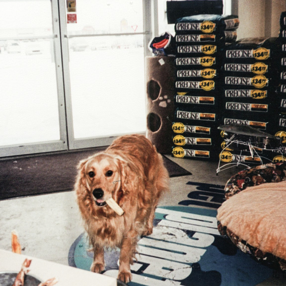 Kali was the Co-Founder's Golden Retriever who frequented the store.