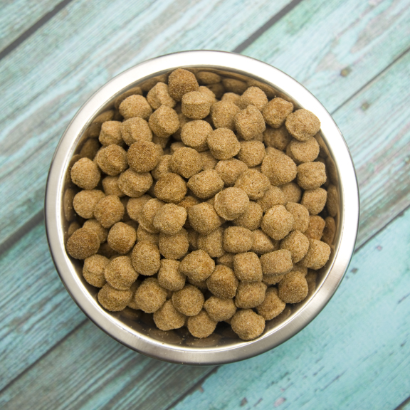 A metal bowl of kibble on a teal wooden background.
